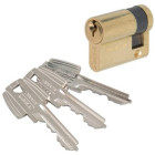 Cylindre entrouvant TESA n°clef 97856 B Laiton - 50303010L 97856