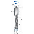 Mèche pour perçages multiples à trous non débouchants FREUD - Ø4 H27/57,5 Q10x20 Z2 - F03FA02202 -PF07MD ZA3