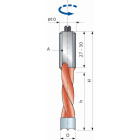 Mèche pour perçages multiples avec araseurs arrondis FREUD - Ø10 H27/57,5 Q10x27 Z2 - F03FA02085 -PF04MS FA3