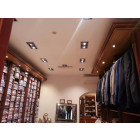 Downlight spot led cob rectangle orientable 2x20w 120 - couleur eclairage au choix