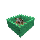 Enclos pour animaux 2x2x0.65 - Vert