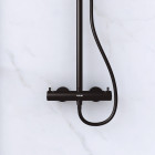 Paroi de douche 120cm verre 8mm - profilé + barre extensible + colonne de douche thermostatique noir mat Aurlane - PACF341