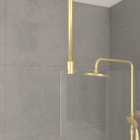 Paroi de douche 90x200cm verre 8mm - profilé + barre plafond finition or brossé - freedom 2 gold Aurlane - PACF433