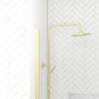 Pack paroi 120x200 + bras + receveur linéaire acrylique 80x120 + colonne thermostatique - or brossé Aurlane - PACF447
