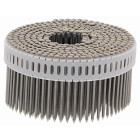 Boîte de 1950 Pointe CNP-IN crantée 2.5 x 55 mm TB Inox A4 SPIT - 395619