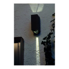 Applique evans, graphite, 6w