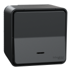 Mureva Styl - Va et vient lumineuxLED - saillie - IP55 IK08 - connex auto - gris - SCHNEIDER ELECTRIC - MUR35024