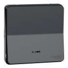 Mureva Styl - Va et vient lumineux LED - composable -IP55-IK08 -connex auto-gris - SCHNEIDER ELECTRIC - MUR35025