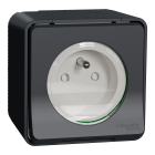 Mureva Styl - Prise de courant 2P+T à vis - saillie - IP55 - IK08 - gris - SCHNEIDER ELECTRIC - MUR36030