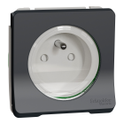 Mureva Styl - Prise de courant 2P+T à vis - composable - IP55 - IK08 - gris - SCHNEIDER ELECTRIC - MUR38030