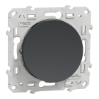Odace - va-et-vient - anthracite - 10A - SCHNEIDER ELECTRIC - S540204
