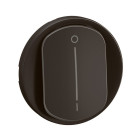 Enjoliveur pour interrupteur bipolaire à voyant Céliane - Noir - LEGRAND - CN1020