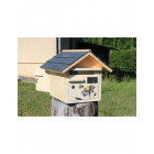 Boîte aux lettres en bois créastuce : l'abeille butine (2 portes prestige)