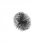 Brosse De Ramonage - 150 Mm - Métal