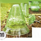 Cloche pour plants 10pcs