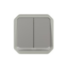 Commande double interrupteur ou poussoir lumineux plexo composable gris (069526l)