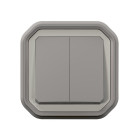 Commande double interrupteur ou poussoir plexo complet encastré gris (069815l)
