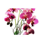 Composition artificielle orchidée haute fuchsia 3 tiges 65cm