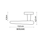 Lot de 2 poignées sur rosace à clé en zamak satiné bergame