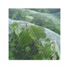 Filet anti-insectes arbres fruitiers 5,20 x 5m