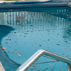 Filet de protection ø 6,20m pour piscine ronde