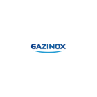 Gazinox - 480031 - tuyau caoutchouc validité 10 ans longueur 1 mètre