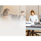 Film Décoratif à Bande Centrale Diffusante – Intimité & Lumière Préservée - largeur & longueur au choix