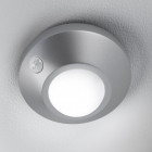 Argent