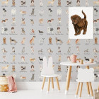 Papier peint chiens fond gris - CANI++