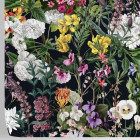 Papier peint vintage botanique floral foncé coloré - VINTAGE BOTANICAL