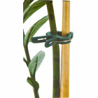 Pince attaches plantes 20 pièces