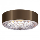 Plafonnier botanic, 40.6cm, laiton antique foncé, verre gravé