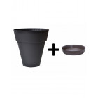 Anthracite