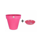 Fuschia
