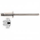 Rivets Inox / Inox Tete Plate - 4 x 10 mm