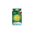 Sachet graines chicorée frisée de meaux