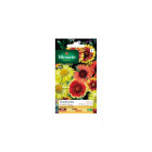 Sachet graines gaillarde grandes fleurs