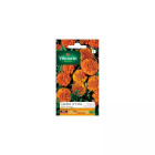 Sachet graines oeillet d'inde globe orange