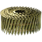 Clous en rouleau plats annelés clair - Ø 2.5 X 50 mm - Boite de 9900 - SENCO - BL21APBFN