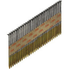 Clous en bande papier D34 annelés galvanisés - Ø 2.8 X 50 mm - Boite de 2000 - SENCO - GE51AXBKR