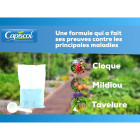 Bouillie bordelaise, étui 300 g - protection efficace contre mildiou tavelure cloque du pêcher Solabiol bb20300