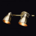 Spot laiton techno 2 ampoules 16 cm