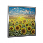 Sunbox G Flowers – Cadre Argent (600x600x300)