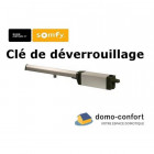 Clé de déverrouillage de remplacement pour moteur ixengo l ou s 230v/24v SOMFY