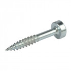 Vis en zinc à tête cylindrique, pas de vis fin pour trous dissimulés - 100 vis n° 6 x 1"