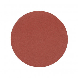 10 disques abrasifs auto-agrippants 125 mm - Grain 240