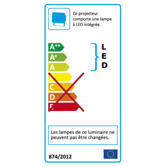 Spot solaire 2x5w led 600 lumens avec detecteur