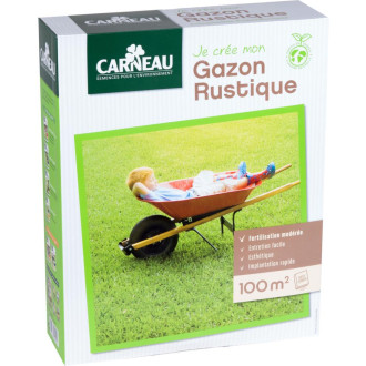 Gazon rustique tous terrains 2,5 kg