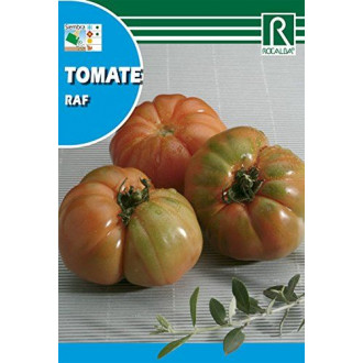 Semence tomate raf 10ud