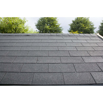 Dépendance de jardin en bois breteuil bardeau droit noir